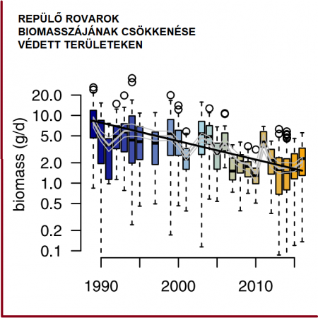 Sokkal kevesebb rovar repül Németországi védett területeken, mint 27 éve!