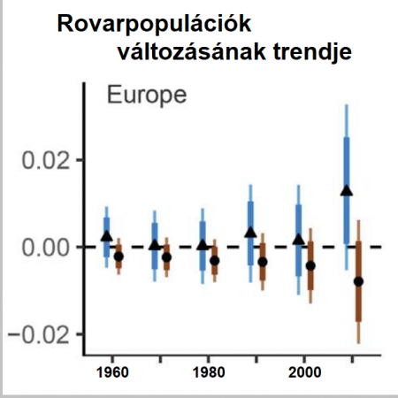 Rovarok gyakoriságának változási trendje