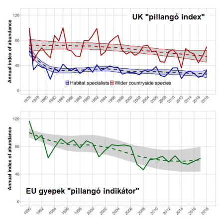 Nappali lepkék hanyatlása Európában - Warren és munkatársai (2020)