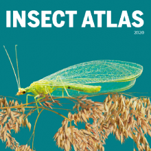 Rovar Atlasz - a rovarpopulációk összeomlását az iparszerű mezőgazdaság okozza